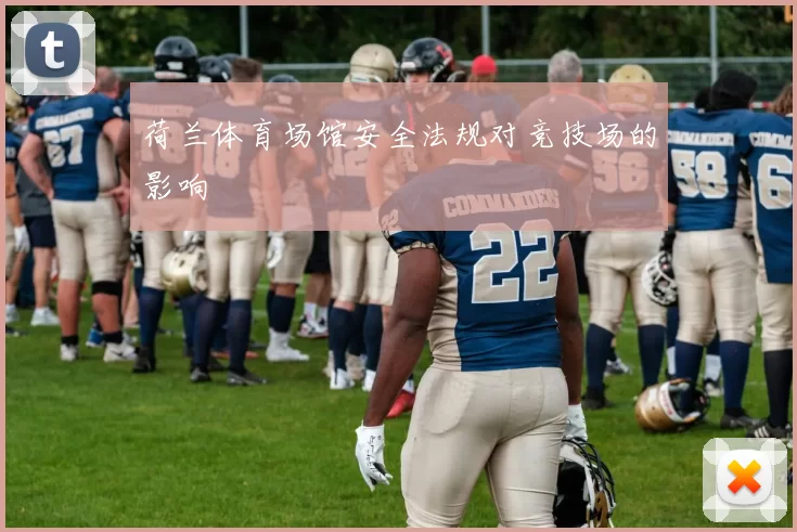 荷兰体育场馆安全法规对竞技场的影响