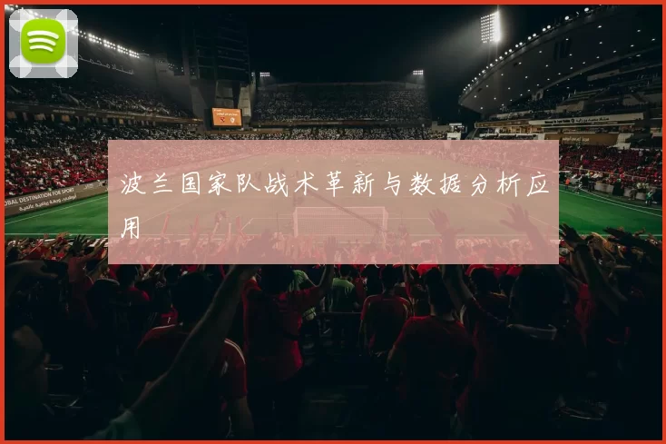 波兰国家队战术革新与数据分析应用